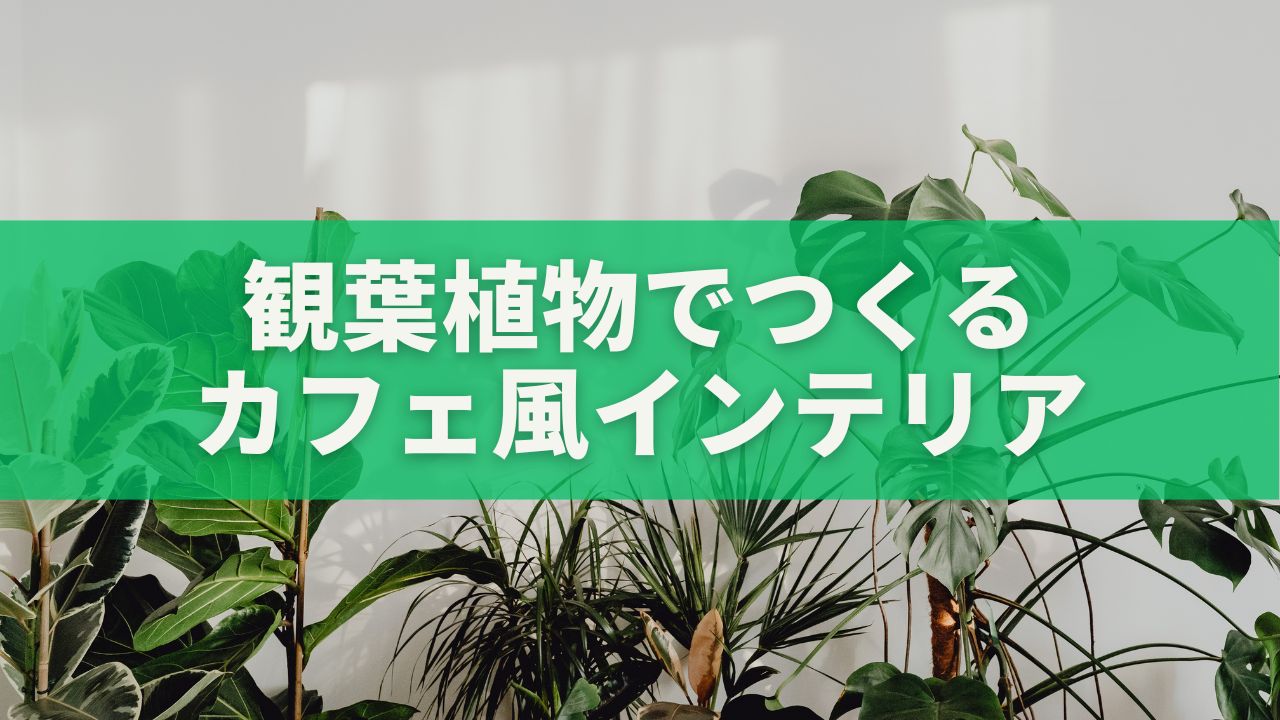 観葉植物でつくるカフェ風インテリア